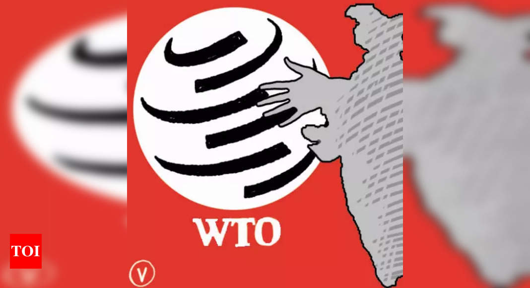 WTO: India to oppose investment agreement.  India Business News - Times of India