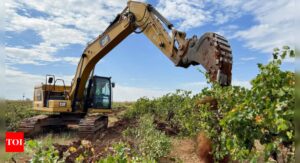 Australian farmers rip out millions of vines amid wine glut - Times of India