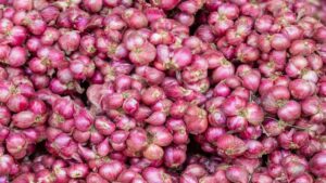 Good news for farmers, government will start purchasing five lakh tonnes of onion in the next two-three days - India TV Hindi