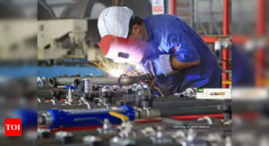 India's manufacturing sector growth reaches five-month high in February - Times of India