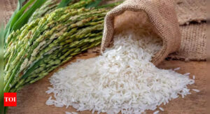 India's rice production set to drop for the first time in 8 years.  India Business News - Times of India