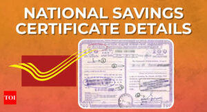 National Savings Certificate: Know the latest NSC interest rate for April-June 2024 quarter - Times of India