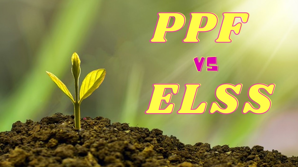 What is the difference between PPF and ELSS?  Understand these important things before investing, it will be easy to take decision - India TV Hindi