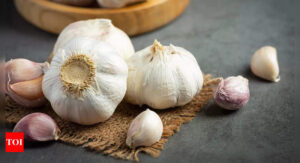 Is Chinese garlic being smuggled into India?  Why customs has sounded high alert - Times of India