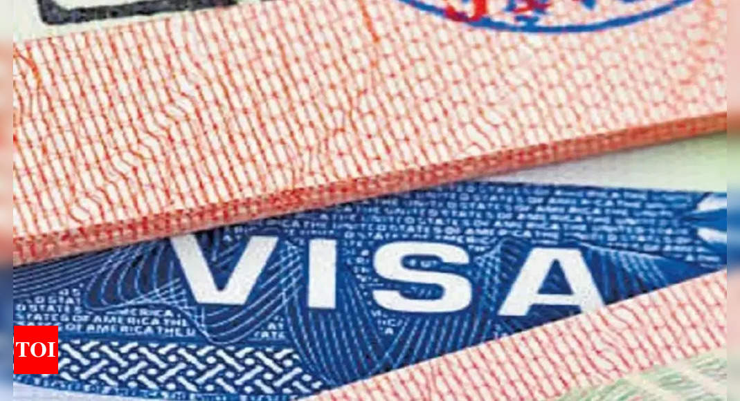 Japan introduces e-visa for Indian tourists;  here's how to apply and more |  India News - Times of India